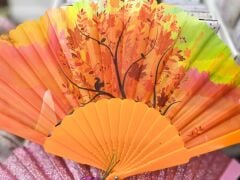 Plastik Desenli Yelpaze