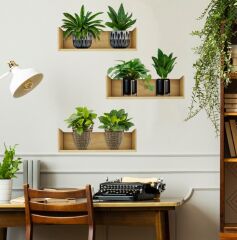 Raflı Bitki Tasarımlı Yapışkanlı Sticker 20*30 cm 3lü Set MC-663