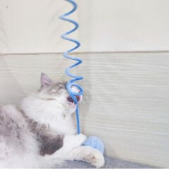 Yaylı Asılabilir Peluş Kedi Oyuncağı - Elastik - Ponponlu Olta