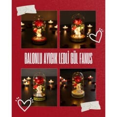 Balonlu Ayıcık Ledli Gül Fanus