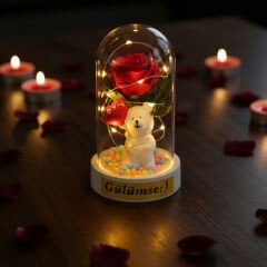 Balonlu Ayıcık Ledli Gül Fanus