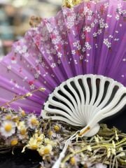 Plastik Desenli Yelpaze