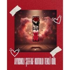 Ayıcıklı Şeffaf Kutulu Tekli Gül