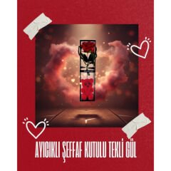 Ayıcıklı Şeffaf Kutulu Tekli Gül