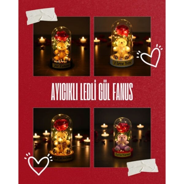 Ayıcıklı Ledli Gül Fanus