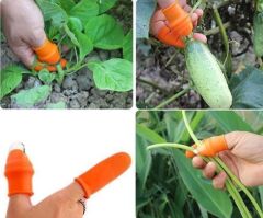 Pratik Baş Parmak Sebze Kesme Ayıklayıcı Erkek L Set