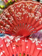 Plastik Desenli Yelpaze