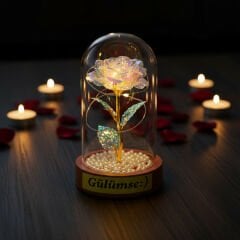 İncili Sonsuzluk Gülü Ledli Fanus