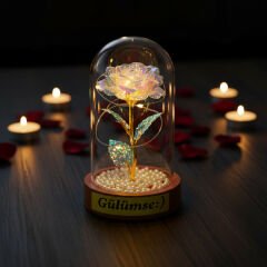 İncili Sonsuzluk Gülü Ledli Fanus