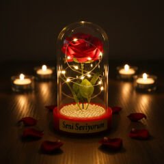 İncili Ledli Gül Fanus