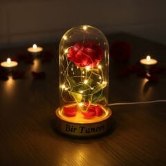 Gül Yapraklı Ledli Gül Fanus