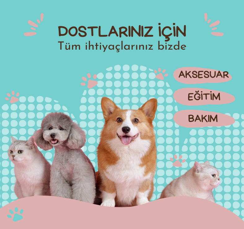 Petshop